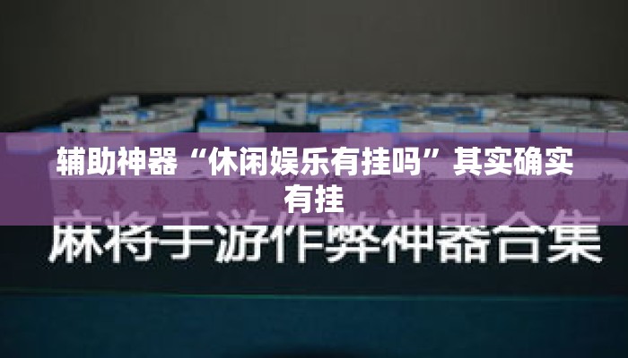 辅助神器“休闲娱乐有挂吗”其实确实有挂