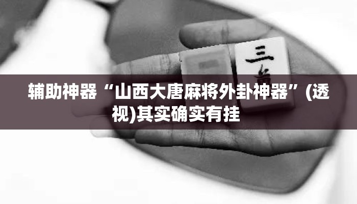 辅助神器“山西大唐麻将外卦神器	”(透视)其实确实有挂 
