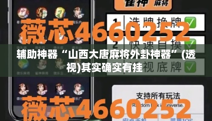 辅助神器“山西大唐麻将外卦神器”(透视)其实确实有挂 