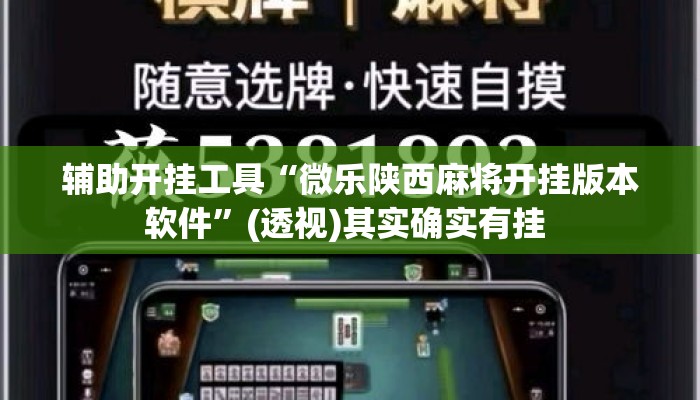 辅助开挂工具“微乐陕西麻将开挂版本软件”(透视)其实确实有挂 