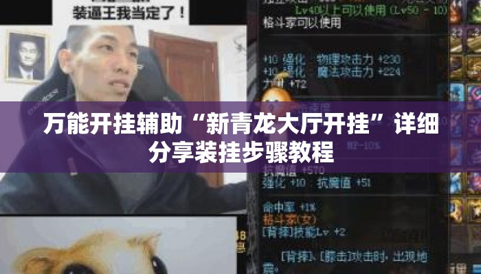 万能开挂辅助“新青龙大厅开挂	”详细分享装挂步骤教程