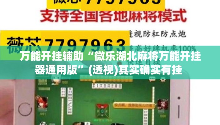 万能开挂辅助“微乐湖北麻将万能开挂器通用版”(透视)其实确实有挂 