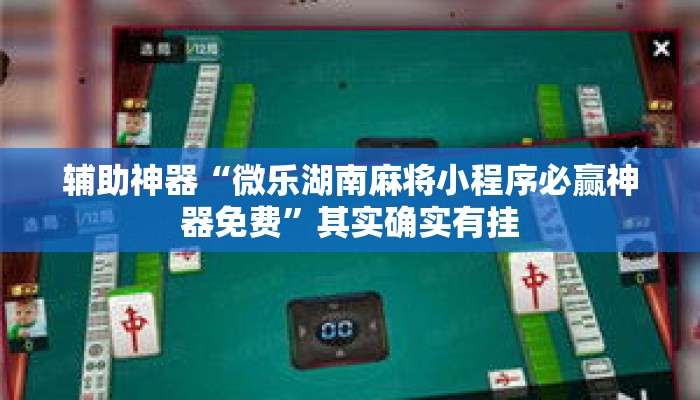 辅助神器“微乐湖南麻将小程序必赢神器免费	”其实确实有挂
