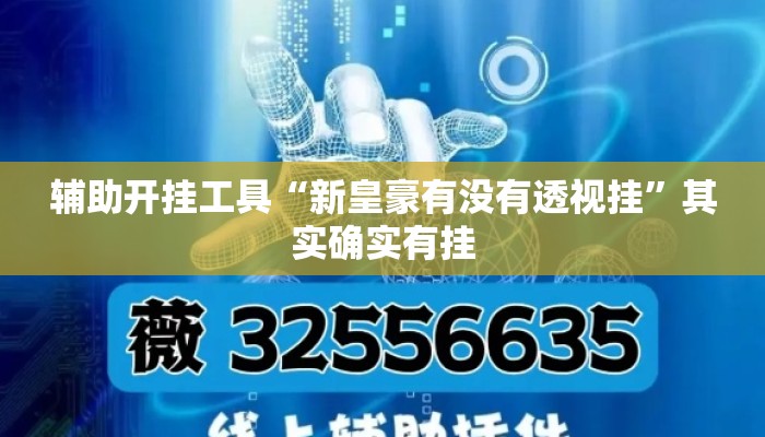 辅助开挂工具“新皇豪有没有透视挂	”其实确实有挂