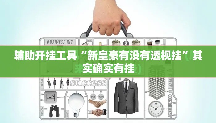 辅助开挂工具“新皇豪有没有透视挂”其实确实有挂