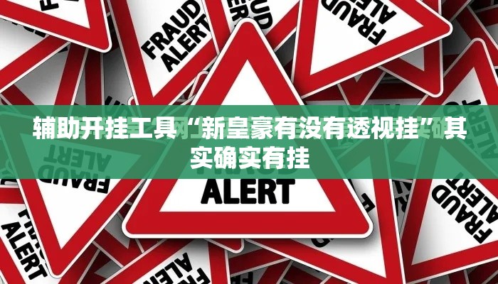 辅助开挂工具“新皇豪有没有透视挂”其实确实有挂
