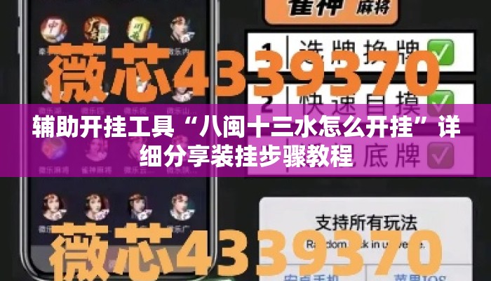 辅助开挂工具“八闽十三水怎么开挂”详细分享装挂步骤教程