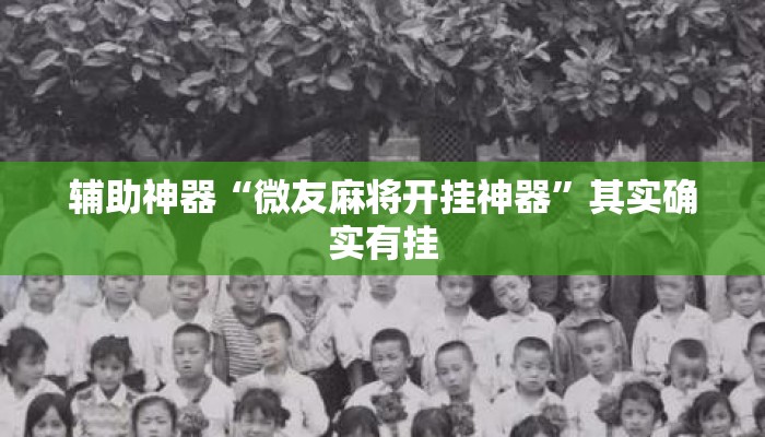辅助神器“微友麻将开挂神器”其实确实有挂
