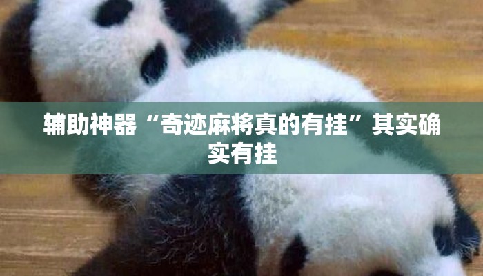辅助神器“奇迹麻将真的有挂	”其实确实有挂