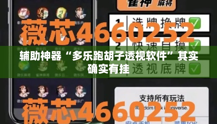 辅助神器“多乐跑胡子透视软件”其实确实有挂