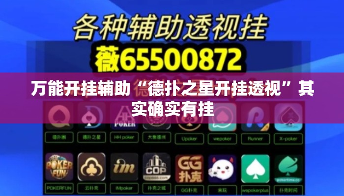 万能开挂辅助“德扑之星开挂透视”其实确实有挂
