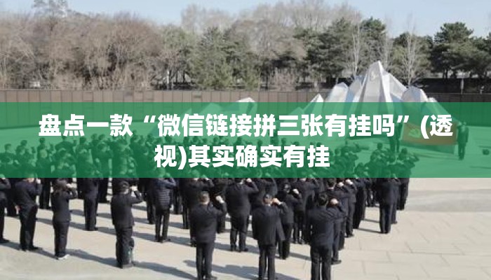 盘点一款“微信链接拼三张有挂吗”(透视)其实确实有挂 