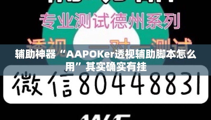 辅助神器“AAPOKer透视辅助脚本怎么用	”其实确实有挂