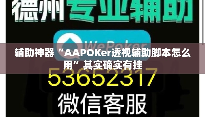 辅助神器“AAPOKer透视辅助脚本怎么用”其实确实有挂