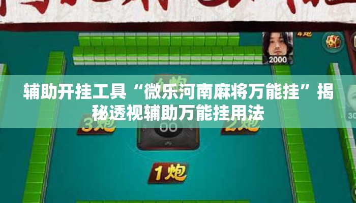 辅助开挂工具“微乐河南麻将万能挂	”揭秘透视辅助万能挂用法
