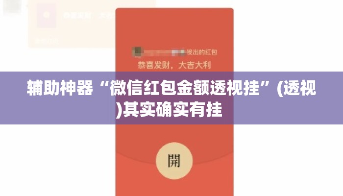辅助神器“微信红包金额透视挂”(透视)其实确实有挂 