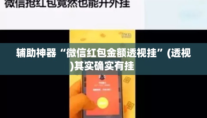 辅助神器“微信红包金额透视挂”(透视)其实确实有挂 