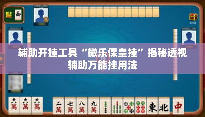 辅助开挂工具“微乐保皇挂”揭秘透视辅助万能挂用法