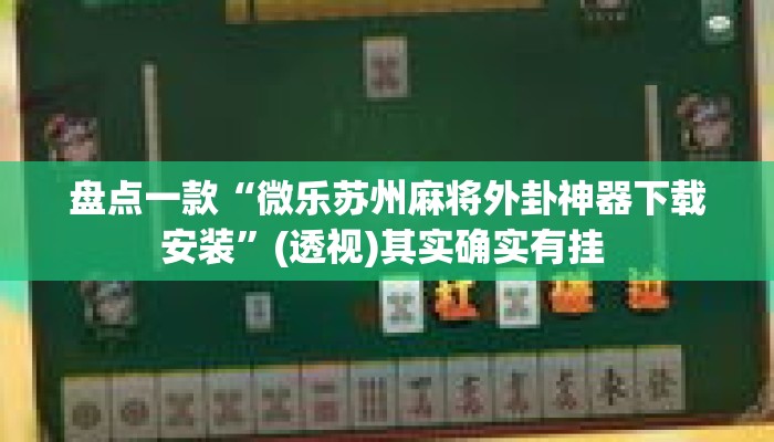 盘点一款“微乐苏州麻将外卦神器下载安装”(透视)其实确实有挂 