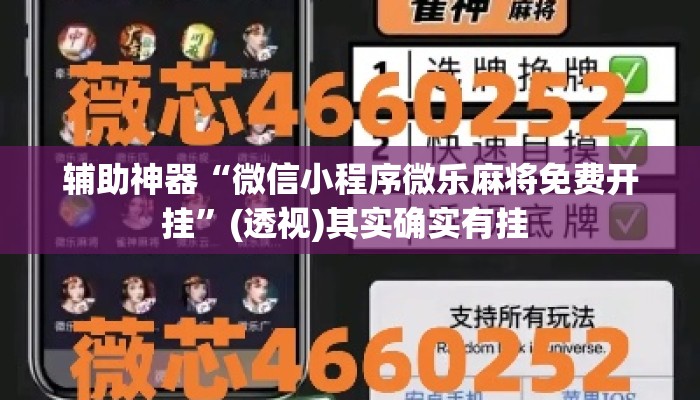辅助神器“微信小程序微乐麻将免费开挂”(透视)其实确实有挂 