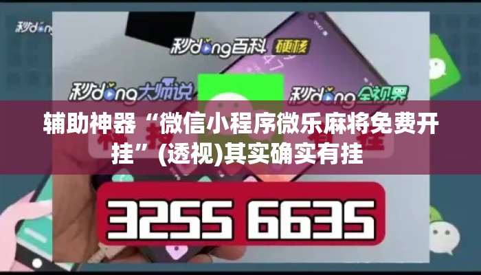 辅助神器“微信小程序微乐麻将免费开挂”(透视)其实确实有挂 