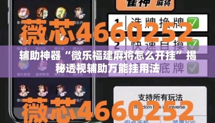辅助神器“微乐福建麻将怎么开挂”揭秘透视辅助万能挂用法