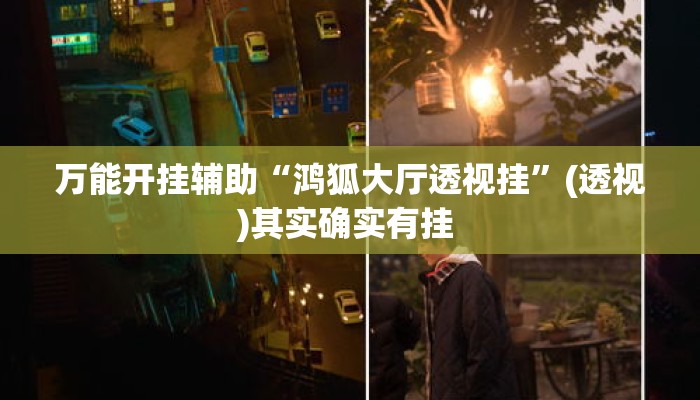 万能开挂辅助“鸿狐大厅透视挂	”(透视)其实确实有挂 