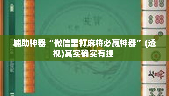 辅助神器“微信里打麻将必赢神器”(透视)其实确实有挂 