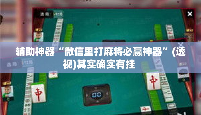 辅助神器“微信里打麻将必赢神器	”(透视)其实确实有挂 