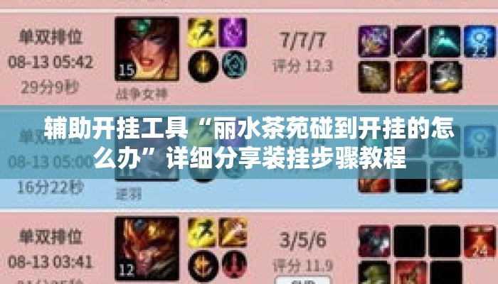 辅助开挂工具“丽水茶苑碰到开挂的怎么办”详细分享装挂步骤教程