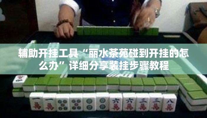 辅助开挂工具“丽水茶苑碰到开挂的怎么办”详细分享装挂步骤教程