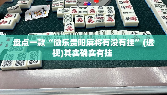 盘点一款“微乐贵阳麻将有没有挂	”(透视)其实确实有挂 