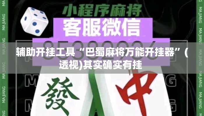 辅助开挂工具“巴蜀麻将万能开挂器”(透视)其实确实有挂 