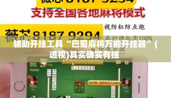 辅助开挂工具“巴蜀麻将万能开挂器	”(透视)其实确实有挂 