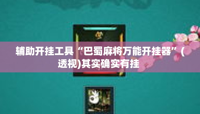 辅助开挂工具“巴蜀麻将万能开挂器”(透视)其实确实有挂 