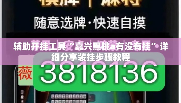 辅助开挂工具“嘉兴黑桃a有没有挂”详细分享装挂步骤教程