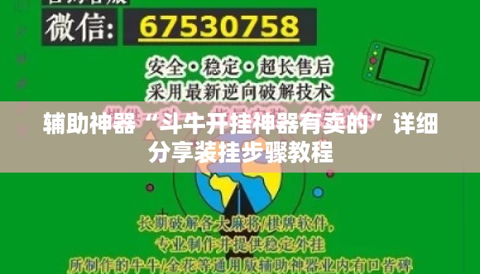 辅助神器“斗牛开挂神器有卖的”详细分享装挂步骤教程