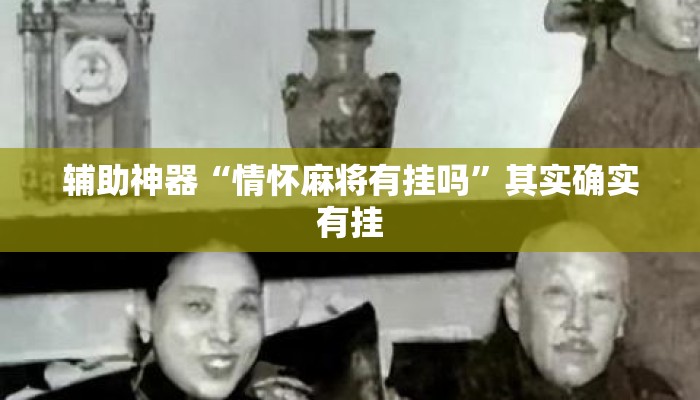 辅助神器“情怀麻将有挂吗”其实确实有挂