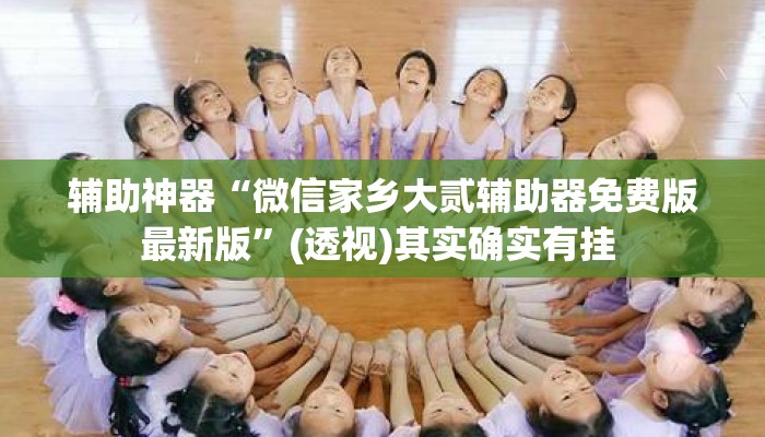 辅助神器“微信家乡大贰辅助器免费版最新版”(透视)其实确实有挂 