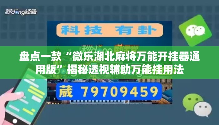 盘点一款“微乐湖北麻将万能开挂器通用版”揭秘透视辅助万能挂用法