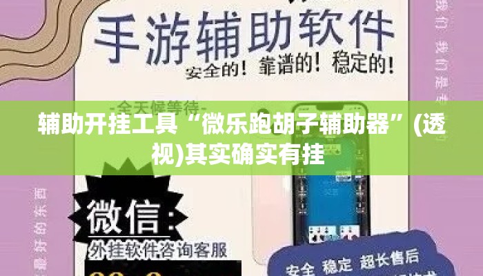 辅助开挂工具“微乐跑胡子辅助器	”(透视)其实确实有挂 