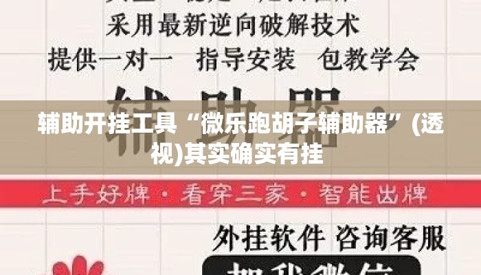 辅助开挂工具“微乐跑胡子辅助器	”(透视)其实确实有挂 