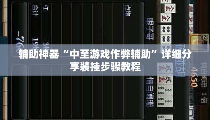辅助神器“中至游戏作弊辅助	”详细分享装挂步骤教程