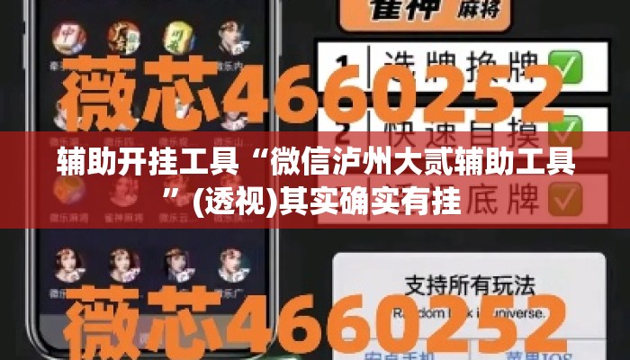 辅助开挂工具“微信泸州大贰辅助工具	”(透视)其实确实有挂 