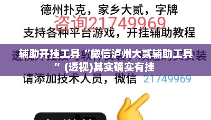 辅助开挂工具“微信泸州大贰辅助工具”(透视)其实确实有挂 