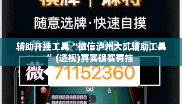 辅助开挂工具“微信泸州大贰辅助工具”(透视)其实确实有挂 