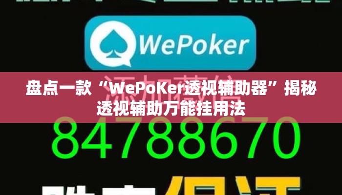 盘点一款“WePoKer透视辅助器”揭秘透视辅助万能挂用法
