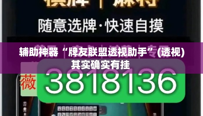 辅助神器“牌友联盟透视助手”(透视)其实确实有挂 