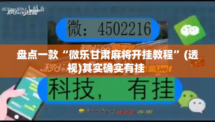 盘点一款“微乐甘肃麻将开挂教程	”(透视)其实确实有挂 