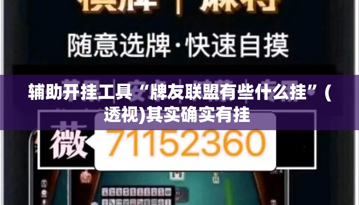 辅助开挂工具“牌友联盟有些什么挂	”(透视)其实确实有挂 